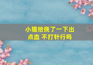 小猫给挠了一下出点血 不打针行吗